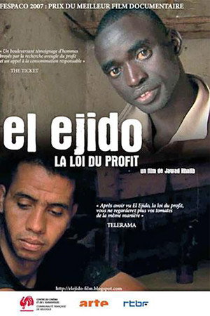 El Ejido, la loi du profit
