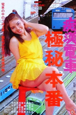 痴汉电车:极秘本番