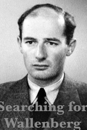 Searching for Wallenberg