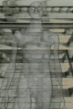 Viewers Of Optics