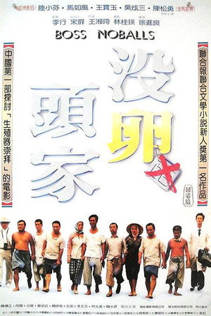 没卵头家