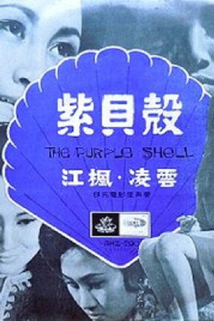 紫贝壳