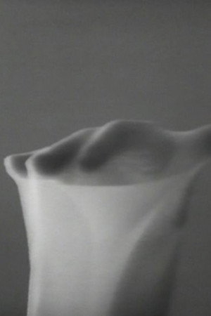 Movements in Light