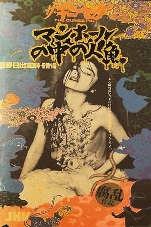 豚鼠5:下水道的美人鱼