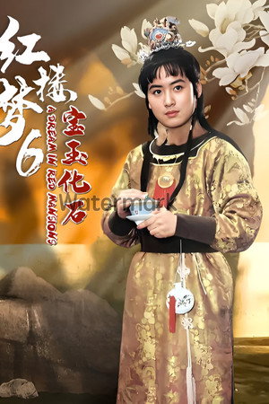 红楼梦第六部:宝玉化石(上)