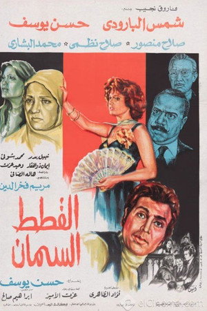 القطط السمان