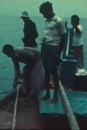 Bateaux et modes de pêche aux Maldives