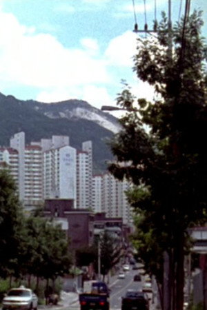 저멀리 여름숲은