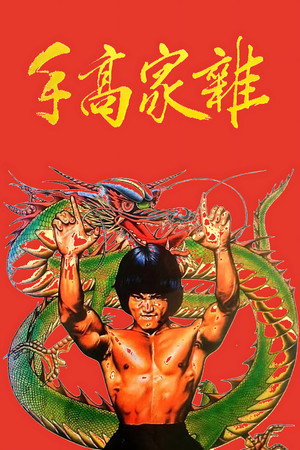 杂家高手