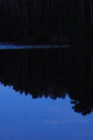 Blue Arpeggios