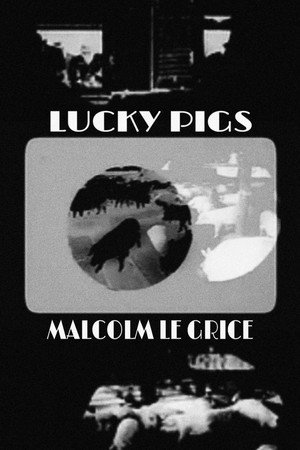 Lucky Pigs