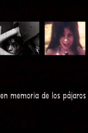 En memoria de los pájaros