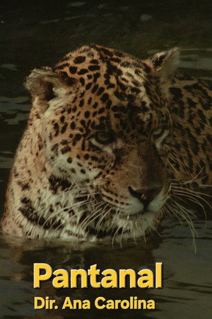 Pantanal