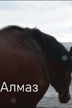 Алмаз