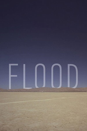 Flood