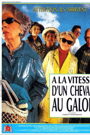 À la vitesse d'un cheval au galop