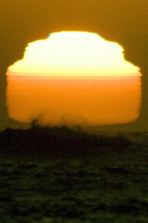 Sun (One Day Old)