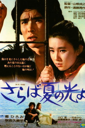 再见,夏日之光