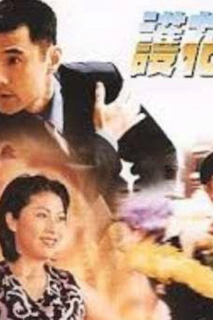 護花驚情