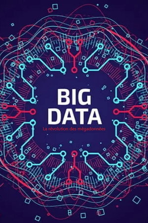 Big Data - La révolution des mégadonnées