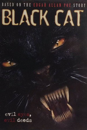 Black Cat