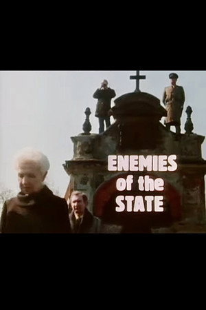 Enemies of the State