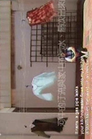 搖擺過路人