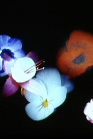 Bloemschikken