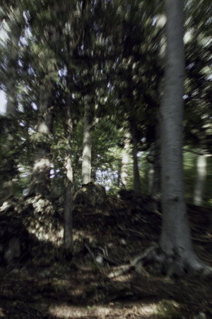 VERTIGO RUSH