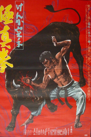 斗殴空手道:极真拳