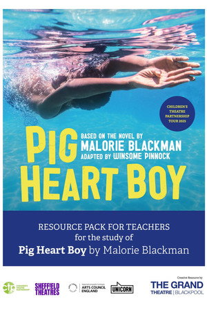 Pig Heart Boy