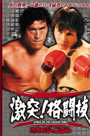 四角いジャングル 激突!格闘技
