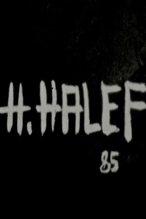 H. Halef