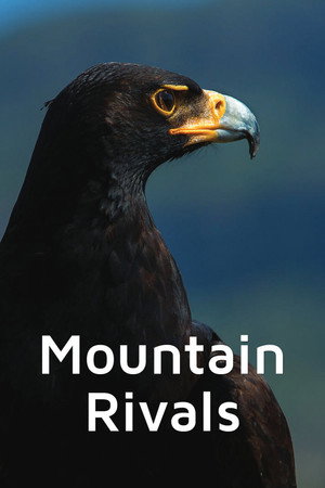 Mountain Rivals