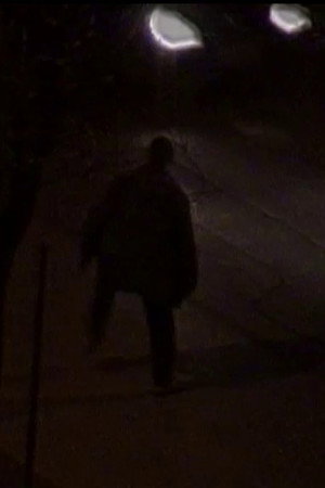 Una fredda giornata