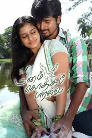 மனம் கொத்திப் பறவை