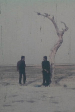 خیابان