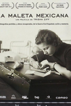 La maleta mexicana
