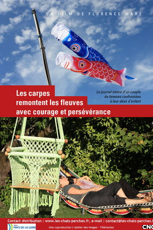 Les carpes remontent les fleuves avec courage et persévérance