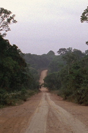 Travelling Amazonia