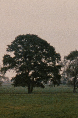 Leute mit Landschaft