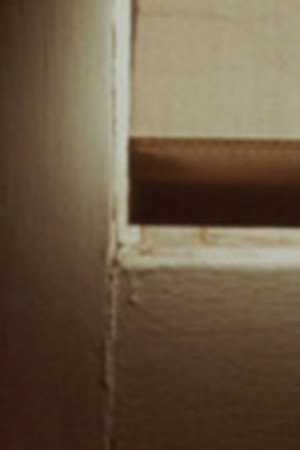 La toile