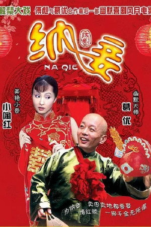 纳妾