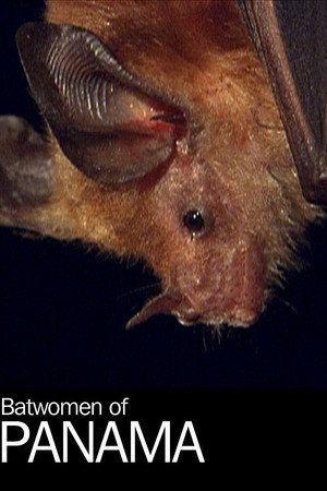 Batwomen of Panama