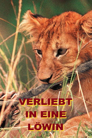 Verliebt in eine Löwin