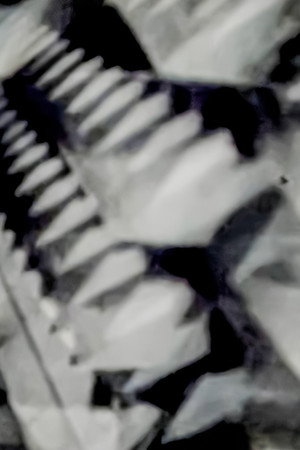 Triad Tesseraic