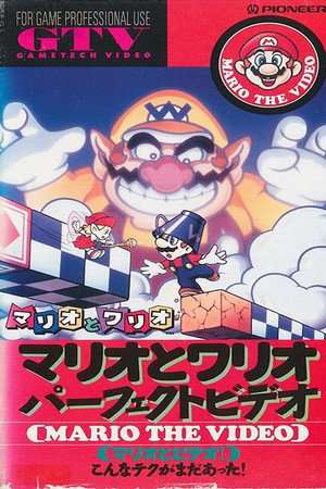 スーパーマリオマリオとワリオ パーフェクトビデオ