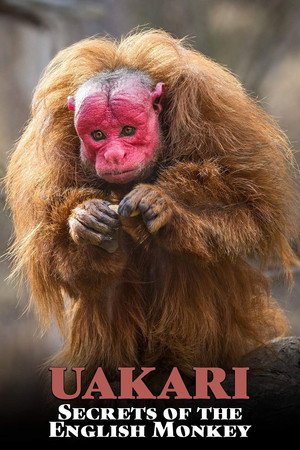 Uakari: Secrets of the English Monkey