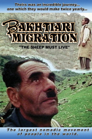 Bakhtiari Migration: The Sheep Must Live