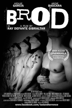 Brod